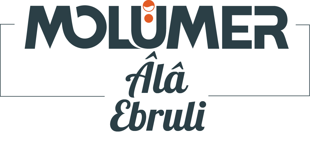 Molümer Logo - Kurumsal Logo Renkleri